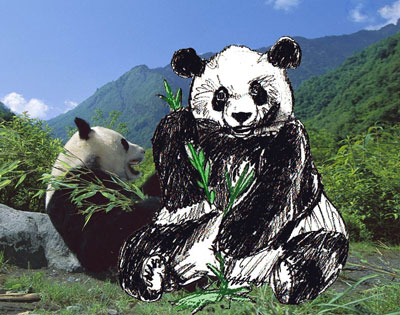 Как нарисовать панду
