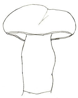 Как нарисовать грибы, шаг 4
